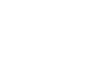 dsi engineering ag